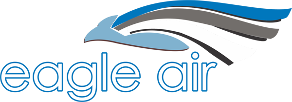 eagle-air-instructors-logo